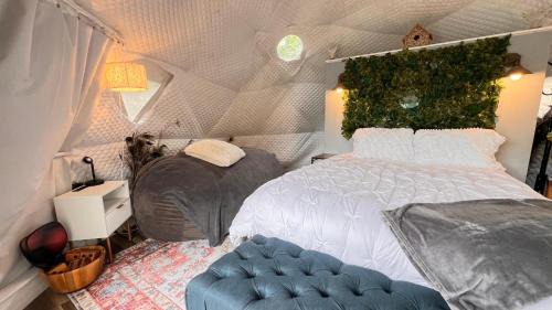 Crescent City Other | Camp Stella