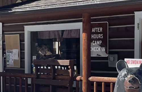 Ravalli County Other | CAMP SULA - RV SITE # 12 BACK IN