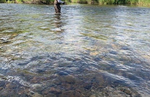 Ravalli County Other | CAMP SULA - RV SITE # 12 BACK IN