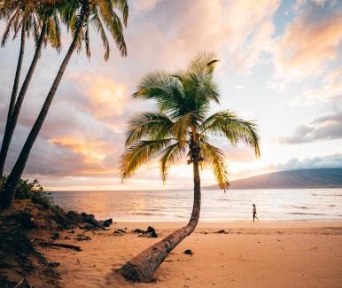 Kahului Apartment | CampCar Maui Jeeps SUVs Hybrid Camper van Rentals with equipment and Travel Advice