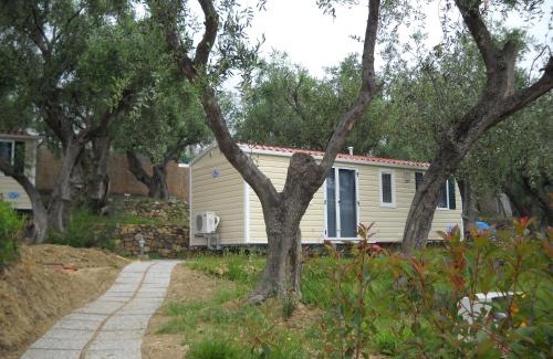 Santo Stefano al Mare Other | Camper Village
