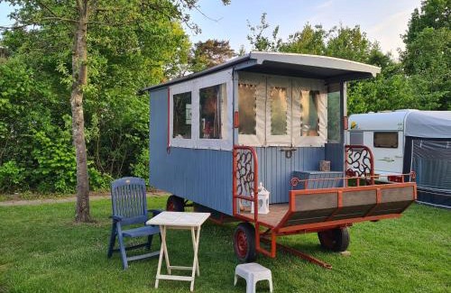 Spier Other | Camping de Bosrand