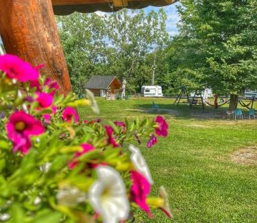 Ciofrangeni Other | Camping Dragoske