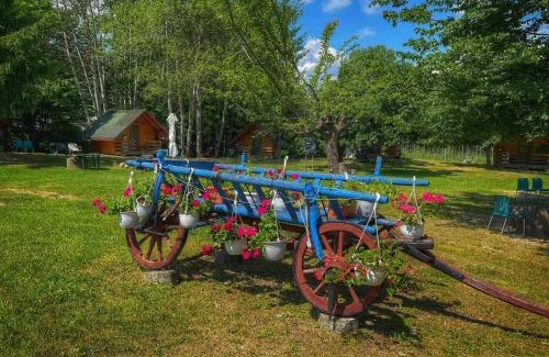 Ciofrangeni Other | Camping Dragoske