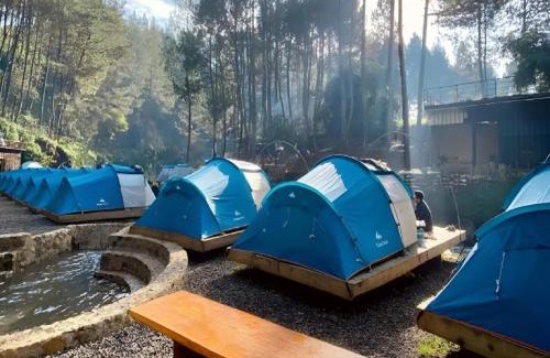 Pangalengan Other | Camping hutan pinus singkur rahong