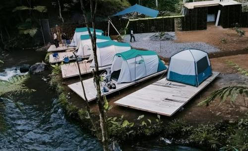 Pangalengan Other | Camping hutan pinus singkur rahong