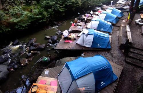 Pangalengan Other | Camping hutan pinus singkur rahong