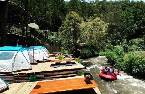 Pangalengan Other | Camping hutan pinus singkur rahong
