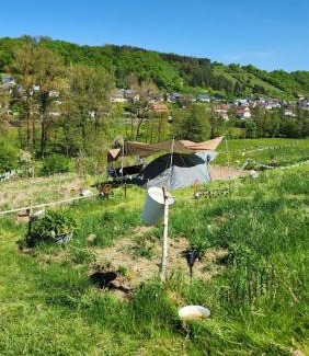 Schluechtern Other | Camping im Igluzelt im Privatgarten mit Komfort Schlüchtern Main-Kinzig