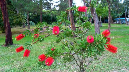 Poggio-Mezzana Other | Camping Miami plage