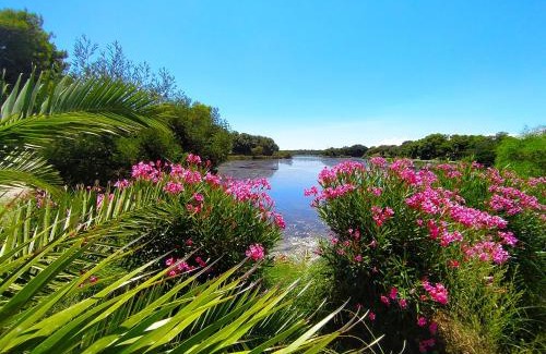 Linguizzetta Other | Camping Naturiste Riva Bella 4*