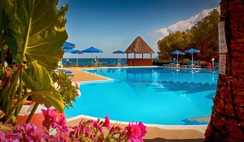 Nopigia Other | Camping Nopigia