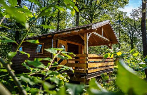 Osenbach Other | Camping Osenbach