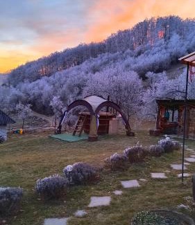 Cristolt Other | Camping Poiana Stelelor