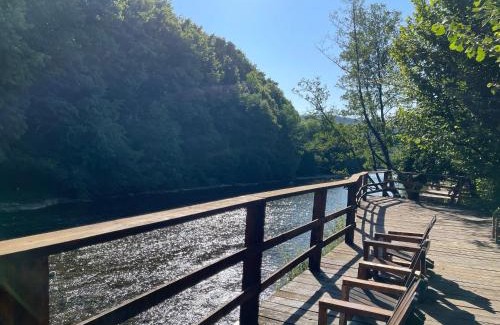 Suncuius Other | Campingul Apusenilor