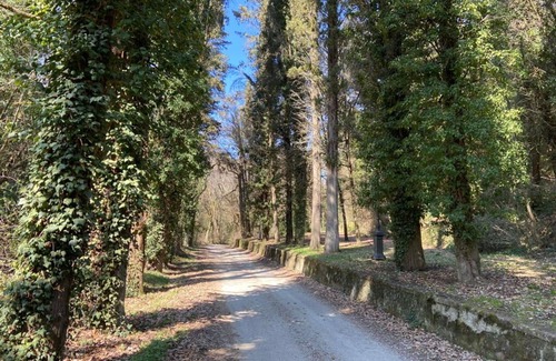 Cincelli Apartment | Campoleone 11 - Apartment on historical property near Arezzo, Tuscany