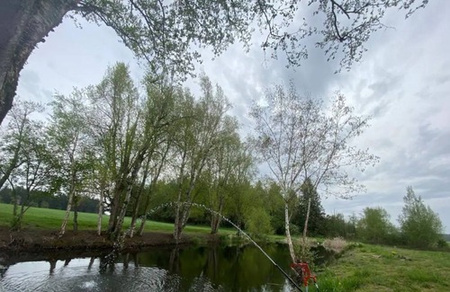 Ferndale RV Rental | CAMPSITE 1 Cottonwood pond CAMPSITE on June Bud Farms