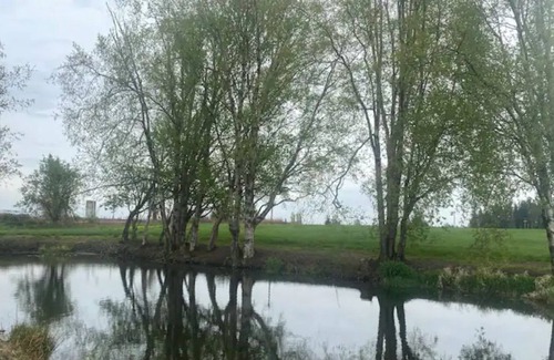 Ferndale RV Rental | CAMPSITE 1 Cottonwood pond CAMPSITE on June Bud Farms
