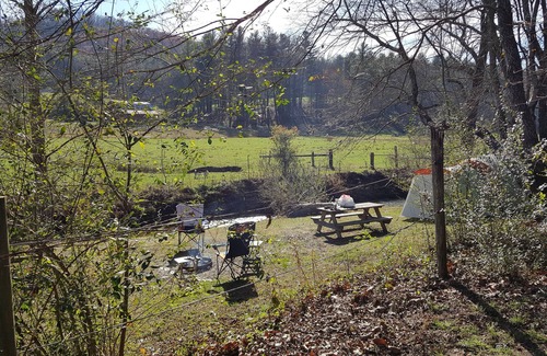 Penrose RV Rental | Campsite #2 on the banks of Crab Creek, tent camping near Dupont State Forest!