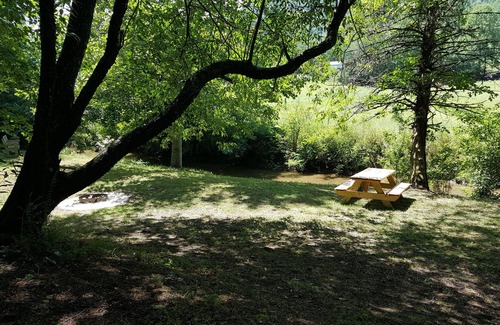 Penrose RV Rental | Campsite #2 on the banks of Crab Creek, tent camping near Dupont State Forest!