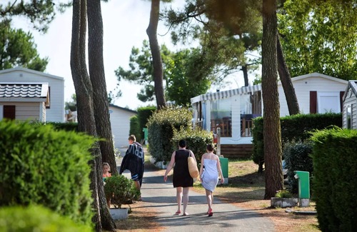 La Faute-sur-Mer House | Campsite LES VIOLETTES * - Mobile home Frégate Sea view (2 bedrooms) 4 people