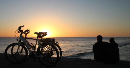 Oksbol Other | CampWest
