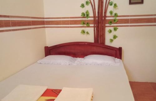 Phong Dien House | CAN THO ECO Home - My Thuan Homestay