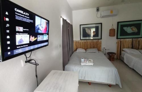 Alfredo V. Bonfil Apartment | Cancun Blue Airport