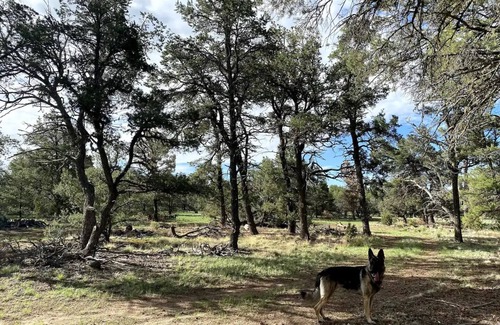 Quemado RV Rental | Cannabis friendly campingnn