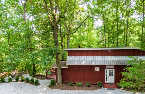 Clarks Chapel House | Cardinal's Nest - A Unique Mountain Cabin Located in a Remote Vacation Spot. Pet Friendly!