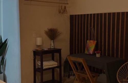 San Pedro Pochutla Apartment | Carena I Air Conditioning