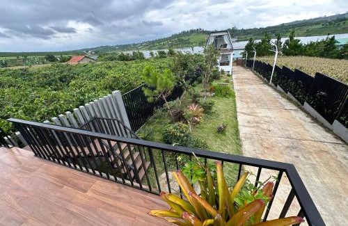 Lam Ha Apartment | Caribe Homestay