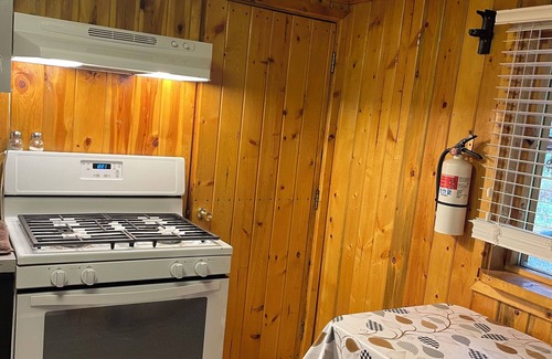 McKinley Park RV Rental | Carlo Creek Cabins