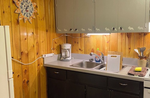 McKinley Park RV Rental | Carlo Creek Cabins