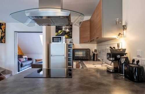 Annecy Old Town Apartment | Carnot Duplex - Centre Ville - RUE Pietonne Annecy