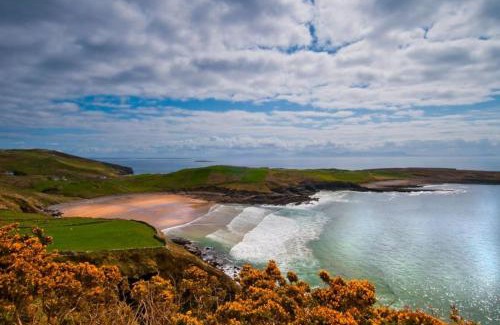 Carrick Apartment | Carol's Cottage (Studio Apt) - Wild Atlantic Way