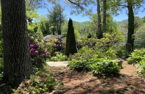 Spruce Pine Apartment | Carriage House~Spruce Pine