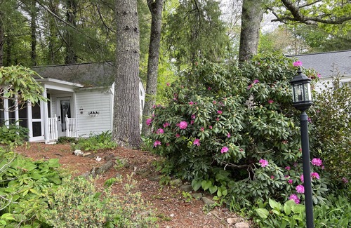 Spruce Pine Apartment | Carriage House~Spruce Pine