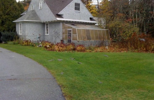Phippsburg Cottage | Carriage House