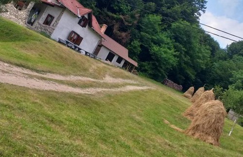 Pianu de Sus House | Casă de vacanţă