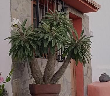 Tazacorte House | Casa Acosta