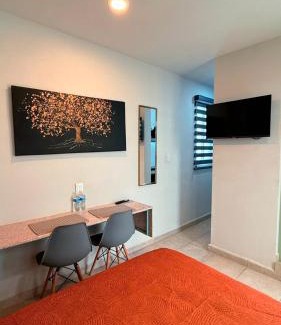 Historic Centre Apartment | Casa Aldama 59