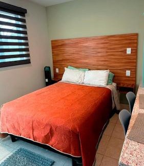Historic Centre Apartment | Casa Aldama 59