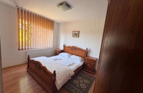 Gura Humorului House | Casa Alexana