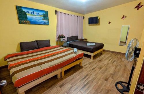 FERROCARRIL Apartment | Casa Alixel Hotel Boutique
