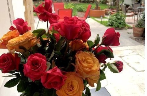 Oaxaca House | "Casa Ancestral de La Noria"nn2 Bedroom - 2 Bath - Private Home & Gardens