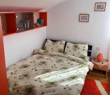 Borsa House | Casa Ani