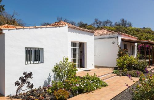 Tajuya House | Casa Arándano