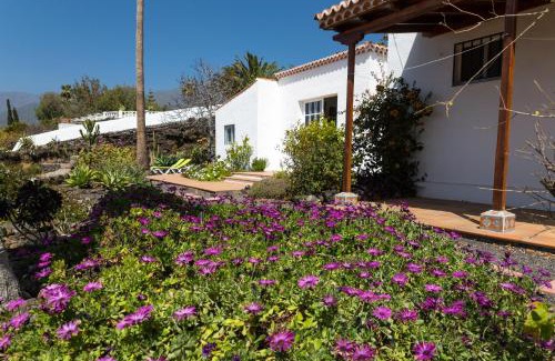 Tajuya House | Casa Arándano