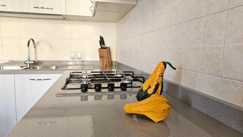 Canale Apartment | Casa Artemisia